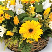 Florist Choice Basket Arrangement
