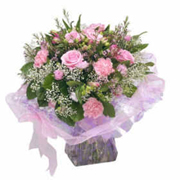 Pink Whisper