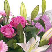 Florist Choice Aqua Hand-Tied Peak Time