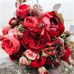 Occasion